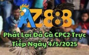 Phát Lại Đá Gà CPC2 Trực Tiếp Ngày 04/05/2025