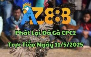 Phát Lại Đá Gà CPC2 Trực Tiếp Ngày 11/05/2025