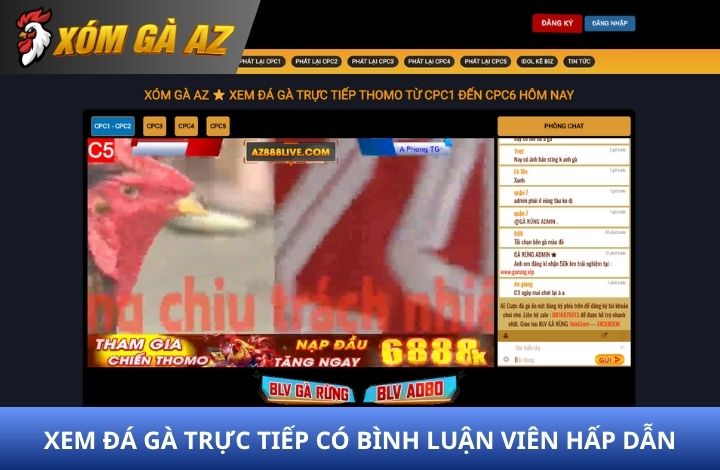 Xem đá gà trực tiếp có bình luận viên cùng Xóm Gà AZ Xem đá gà trực tiếp có bình luận viên cùng Xóm Gà AZ