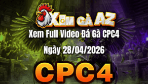 Xem Full Video Đá Gà CPC4 Ngày 28/04/2026
