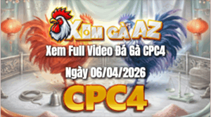 Xem Full Video Đá Gà CPC4 Ngày 06/04/2026