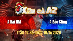 Trận 12 CPC2 19/5/2026