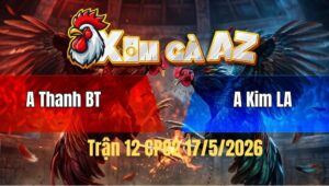 Trận 12 Bồ CPC2 17/5/2026