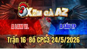 Trận 16 CPC2 24/5/2026