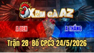 Trận 28 CPC2 24/5/2026