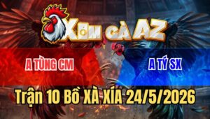 Trận 10 Xà Xía 24/5/2026: Úa Đâm Ngay Mu Lưng Bướm Hư Hình Hết Đứng