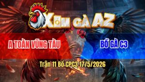 Trận 11 Bồ CPC3 17/5/2026 - Xám Đâm Như Chỉa Nhấp 3 Chân Đâm Điều Lọt Bọng Tốc Chạy