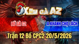 Trận 12 Bồ CPC2 20/5/2026 - Bướm Chú Khanh Chợ Lách Quá Đâm Nạp Siết Buông Ra Chuối Xỉu Tuyệt Đối