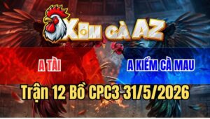 Trận 12 CPC3 31/5/2026: Điều Cọp Anh Kiểm Đâm Xám Chân Xanh Như Cái Rổ
