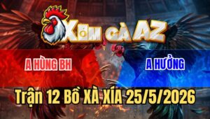 Trận 12 Xà Xía 25/5/2026: Chuối Cọp Anh Hùng Lên 3 Quá Đẳng Cấp
