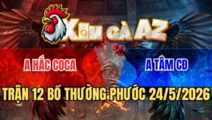 Trận 12 Thường Phước 24/5/2026: Úa Kém 3 Chấm Đâm Gà Hắc Coca Nằm Đống