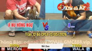 Trận 12 CPC4 12/05/2026 - Anh Nu Hồng Ngự Bị Lụm Cái Xổ 200 Triệu