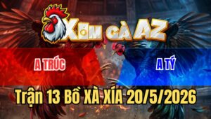Trận 13 Bồ Xà Xía 20/5/2026 - Gà Xanh Đá Chân Như Sấm Sét Độ Điềm Tĩnh Đến Lạ Thường Gà Đỏ Chịu Hết Nổi Nên Té