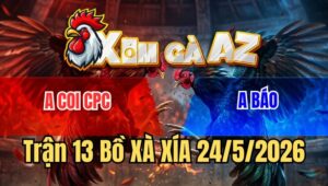 Trận 13 Xà Xía 24/5/2026: Gà Anh Báo Nhỏ Đá Gà Nước Bạn Nằm Một Đống