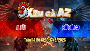 Trận 14 Bồ CPC3 17/5/2026 - Chuối Đá Chân Nào Cũng Đâm Bướm Hư Hình Sau 1 Tay