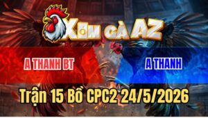 Trận 15 CPC2 24/5/2026: Gà Bướm Anh Thanh Đá Chân Nào Cũng Đâm