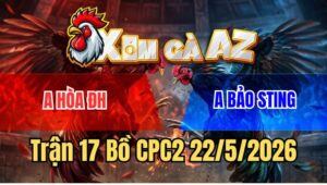 Trận 17 CPC2 22/5/2026: Úa Hiệu Bảo Sting Đá Điều Muốn Hư Vô Kính Bỏ Ô