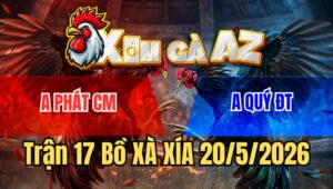 Trận 17 Bồ Xà Xía 20/5/2026 - Hai Con Úa Hiệu Đụng Nhau Vô Kiếng Đỏ Đá Cây Gạt Cầu Dao Xanh Nằm Tuyệt Đối