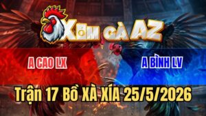 Trận 17 Xà Xía 25/5/2026: Cú Nạp Liên Hoàng Cước Điều Sụm Tỳ Hết Đứng