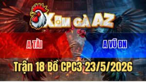 Trận 18 CPC3 23/5/2026: Gà Xám Anh Vũ Đâm Điều Má Minh Đứng Không Nổi