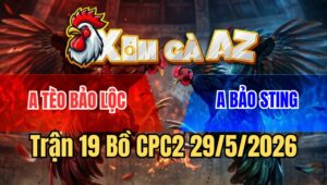 Trận 19 CPC2 29/5/2026: A Tèo Bảo Lộc Phục Thù A Bảo Sting Thành Công