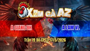 Trận 19 Bồ CPC3 17/5/2026 - Điều Buông Đuôi Đá Que Không Kịp Dở Dò Lấy Tiền Nhanh Gọn