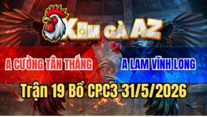 Trận 19 CPC3 31/5/2026: Xanh Que Anh Lam Vĩnh Long Đâm Cựa Bao Thấm