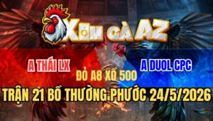 Trận 21 Thường Phước 24/5/2026