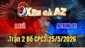 Trận 2 CPC2 25/5/2026: Gà Bướm Đâm Điều Anh Ngà Đầu Chấm Muối