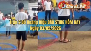Trận 2 Bồ Hoàng Diệu BẢO STING HÔM NAY Ngày 03/05/2026