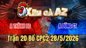 Trận 20 CPC2 28/5/2026: Xám Đá Như Búa Bổ, Bướm Chịu Không Nổi Bỏ Chạy