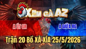 Trận 20 Xà Xía 25/5/2026: Điều Cọp Anh Giữa Đá Toàn Đâm Đầu Cần