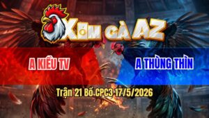 Trận 21 Bồ CPC3 17/5/2026 - Điều Đá Như Cây Đập Đâm Bông Giãy Chết Sau Mấy Chân