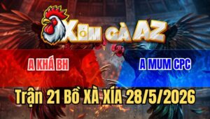 Trận 21 Xà Xía 28/5/2026: Xanh Né Hay Nạp Liên Hoàn Cước Tiễn Đỏ Đi Xa