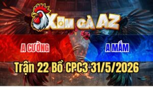 Trận 22 CPC3 31/5/2026: Anh Kiểm Thả Xanh Đá 3 Chân Phá Trụ Gà Đỏ