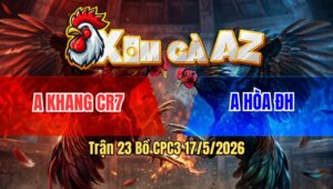 Trận 23 Bồ CPC3 17/5/2026 - Bướm Đá Chân Nhanh Còn Đâm Khét Cọp Đem Đi Nấu Cao