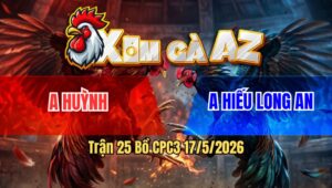 Trận 25 Bồ CPC3 17/5/2026 - Điều Xanh Mẻ Cọp Buông Đuôi Gặp Ngày Bướm Sát Thủ Và Cái Kết