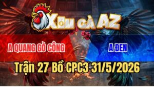 Trận 27 CPC3 31/5/2026: Điều Anh Lam Chửa Kịp Nhấc Chân Đã Bưng Ra
