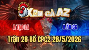 Trận 28 CPC2 28/5/2026: Bướm Đâm Như Máy, Que Chịu Không Nổi Bay Bồ