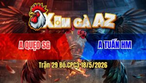 Trận 29 Bồ CPC3 18/5/2026 - Bướm Cọp Vào Đá Cú Hư MUốn Té Cú Vô Tình Gồng Cầm Hòa Được