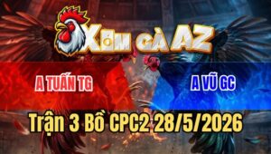 Trận 3 CPC2 28/5/2026: Chuối Anh Vũ Đâm Phát Nào Bướm Ra Tiền Phát Đó