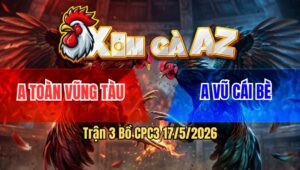 Trận 3 Bồ CPC3 17/5/2026 - Bông Bố Láo Dí Chưa Thả Dí Ăn 5 Buông Đuôi Bị Bướm Đá Nằm 1 Đống