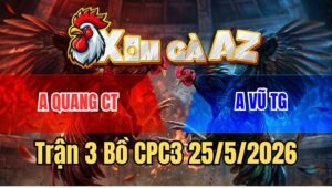 Trận 3 CPC3 25/5/2026: Điều Quá Trâu Đâm Xám Idol Cứng Mình Bỏ Chạy