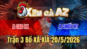 Trận 3 Bồ Xà Xía 20/5/2026 - Camelo Buông Đuôi Là Đâm Bướm Muốn Phản Nhưng Không Thành