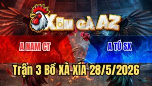 Trận 3 Xà Xía 28/5/2026: Xám Cọp Anh Tú Đâm Gà Điều Anh Nam Gãy Cổ