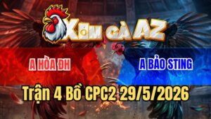 Trận 4 CPC2 29/5/2026: Điều Đá Cựa 1 Tấc Đâm Gà Úa Bảo Sting Ra Si Rô