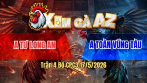 Trận 4 Bồ CPC3 17/5/2026 - Úa Cọp Bị Xem thường Chưa Thả Bị Dí Ăn 5 Và Cái Kết Đá Đối Thủ Xỉu Tuyệt Đối