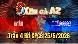 Trận 4 CPC3 25/5/2026: Chú Tuấn Điện Thất Thủ Trước Anh Hắc Coca