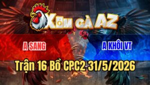 Trận 16 CPC2 31/5/2026