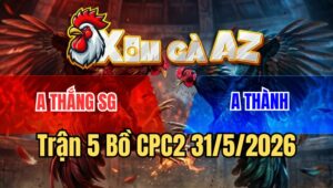 Trận 5 CPC2 31/5/2026